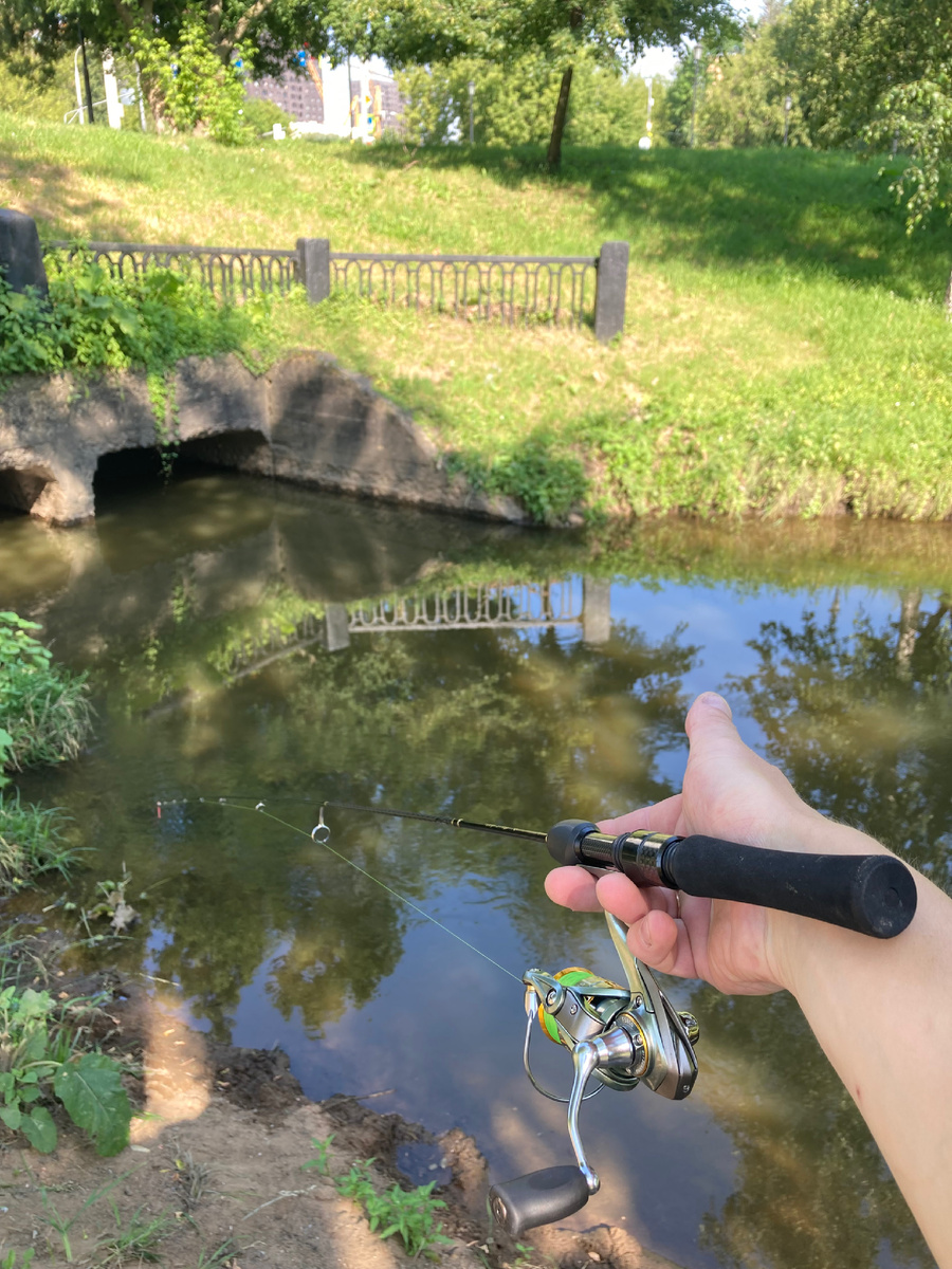 CF Black Adder Nano 168 0,5-1 / Tsurinoya FS800 / Tsurinoya Super PE H4 0,2#