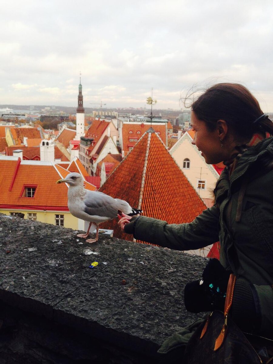 собственно автор 