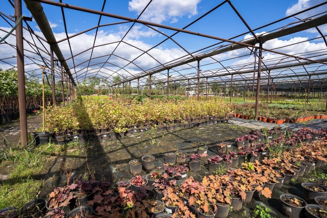 Фото: Александр Плонский / «Агроэксперт»