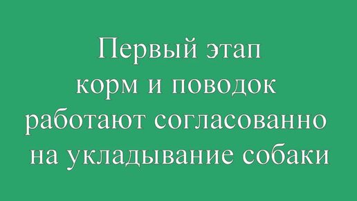 Дисциплинарная дрессировка собак, подчинение поводку в теме команд сидеть лежать стоять, ОКД