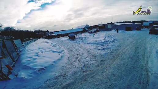 Оленья ферма в подмосковном Дзержинском