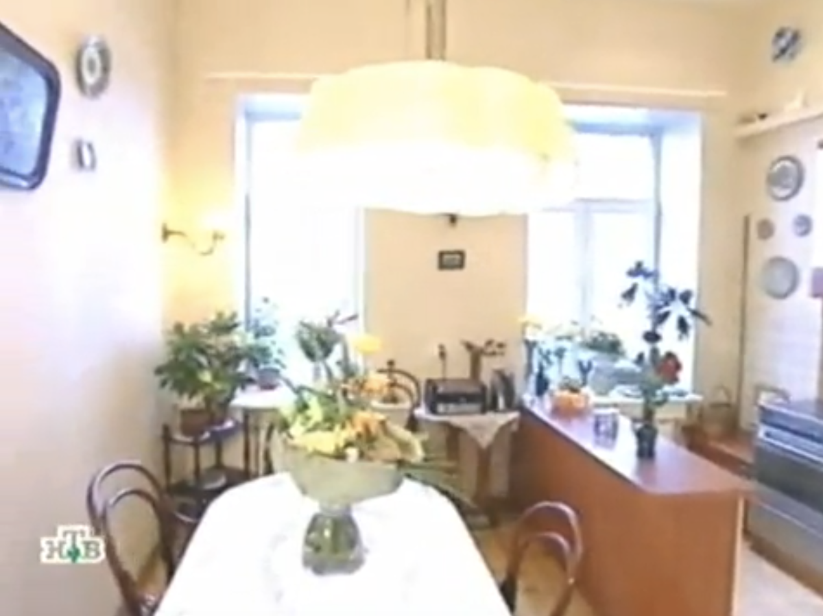 Кухня Ирины Муравьевой до переделки. Скриншот программы "Квартриный вопрос" (НТВ)