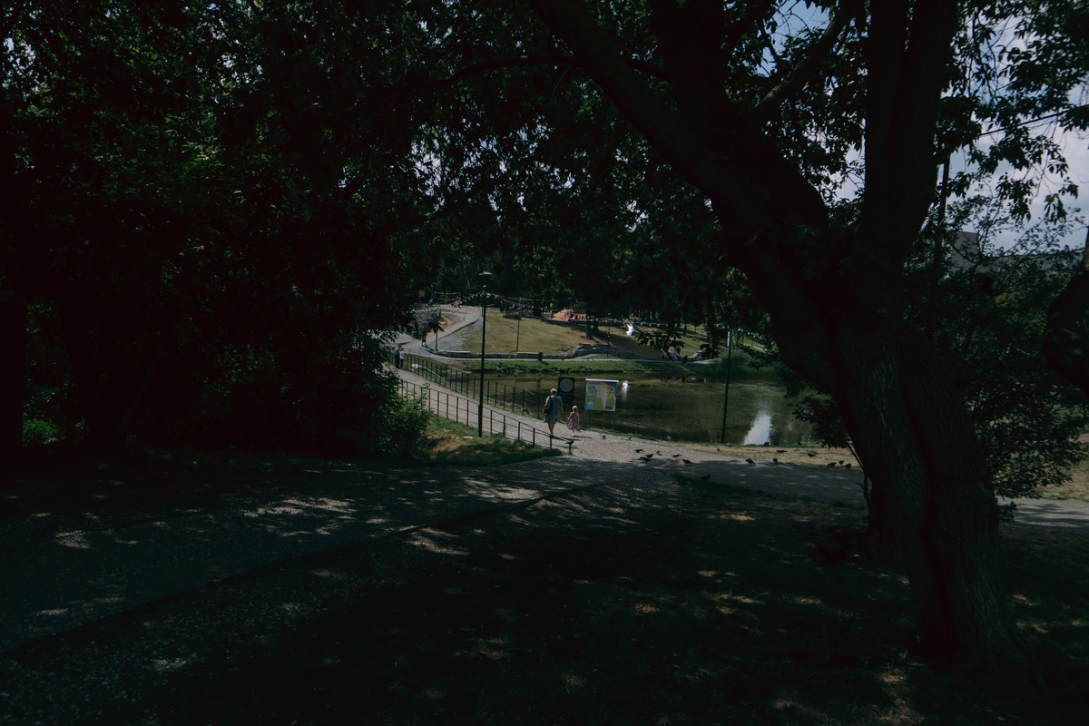    Главные новости Ижевска на утро 1 августа: администрация ответила на нашествие крыс и контроль Бречаловым дела об избиении юноши