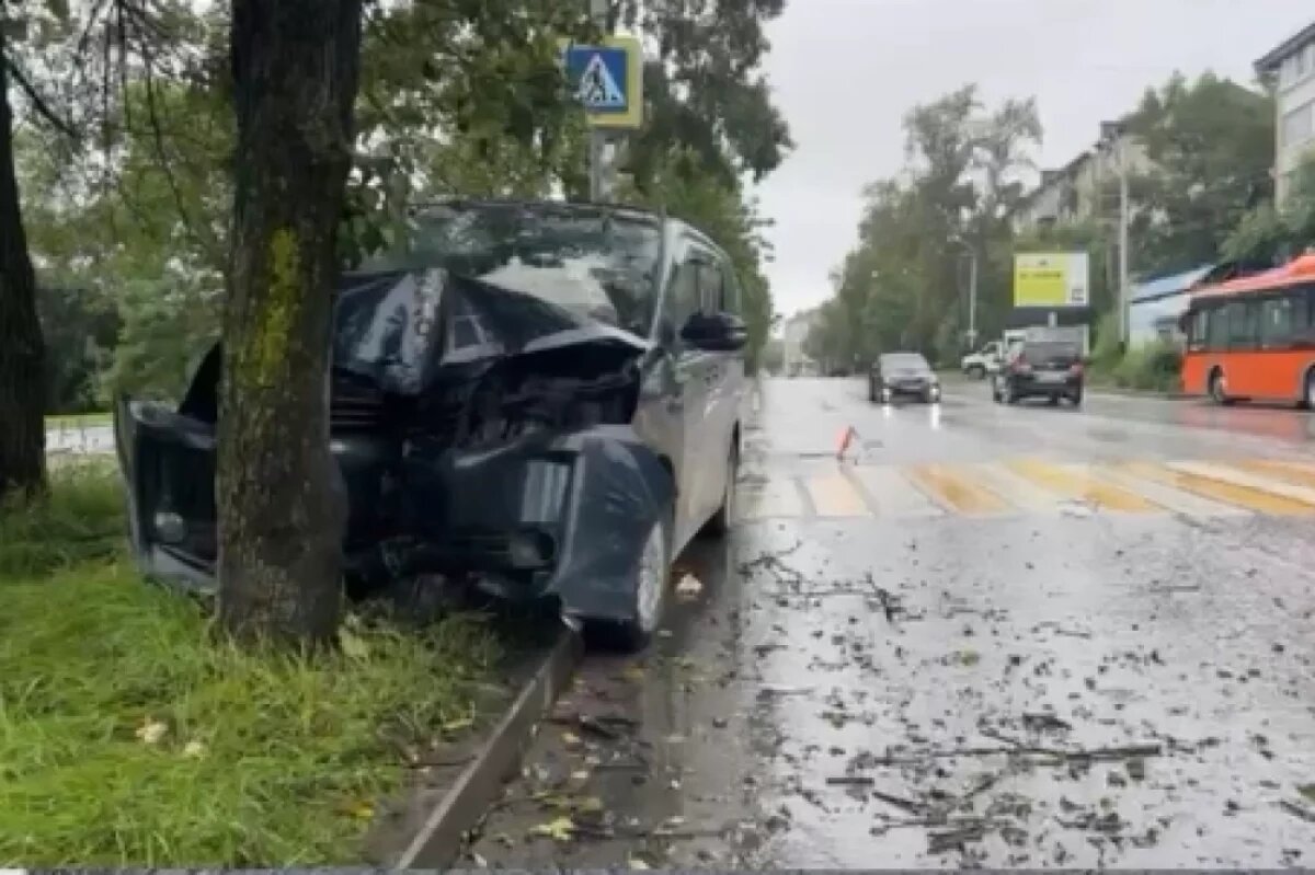   В Хабаровске мать на Toyota впечаталась в дерево, двое детей пострадали
