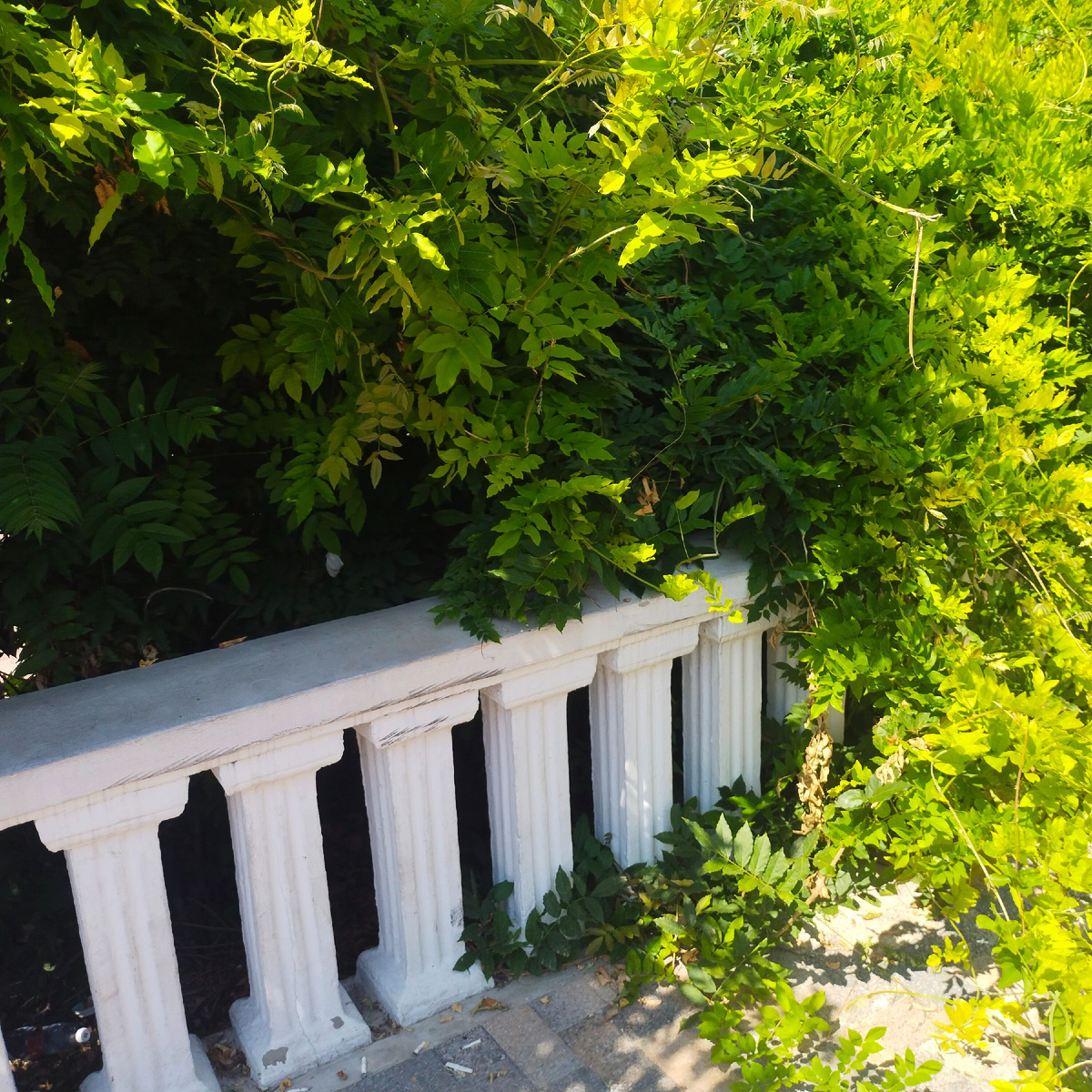 Здесь встречаются Маша и Артем.Фото автора канала