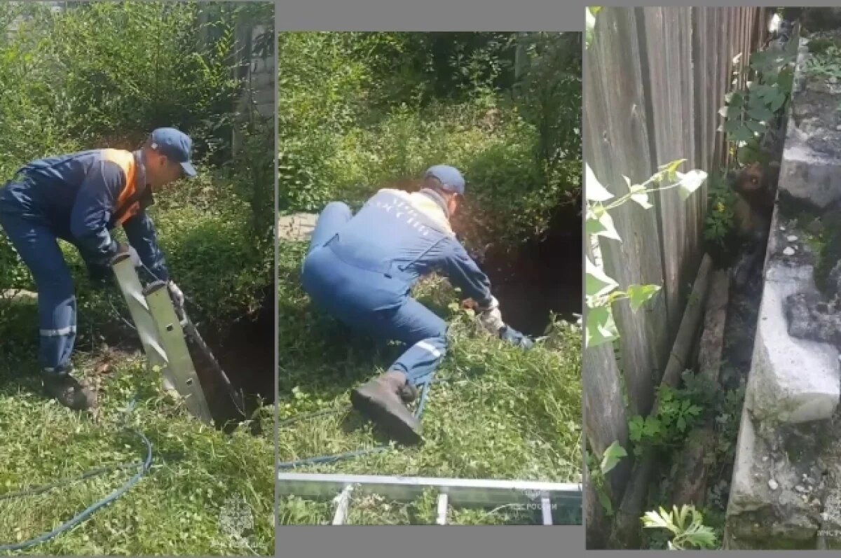    В ЕАО спасатели МЧС достали собаку из 2,5-метровой ямы