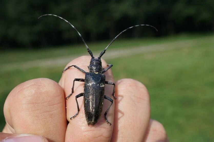 Фото: Уральское межрегиональное управление Россельхознадзора