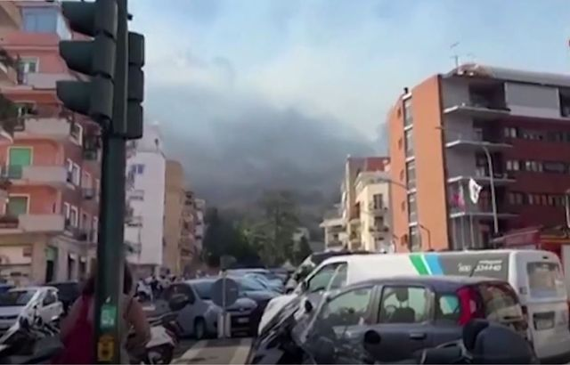 TACC Reuters кадр из видео