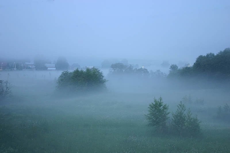 Фото из свободного источника