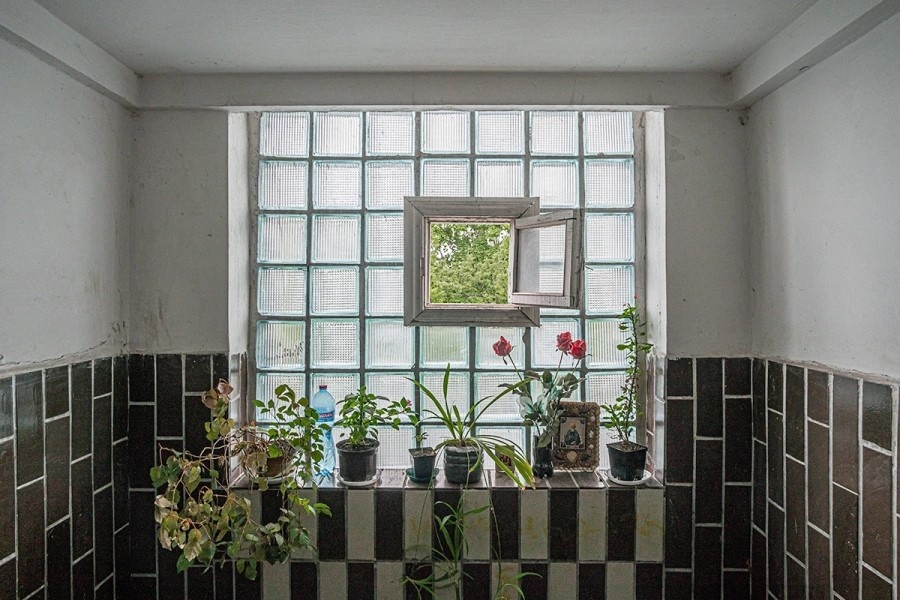 Фото: Dmytro Falkowskyi / Shutterstock / FOTODOM 

