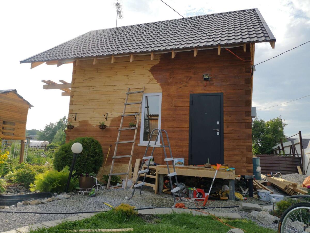 Разглядите на фото золотистую макушку среди травы? 2020 год - год посадки (фото из личного архива)