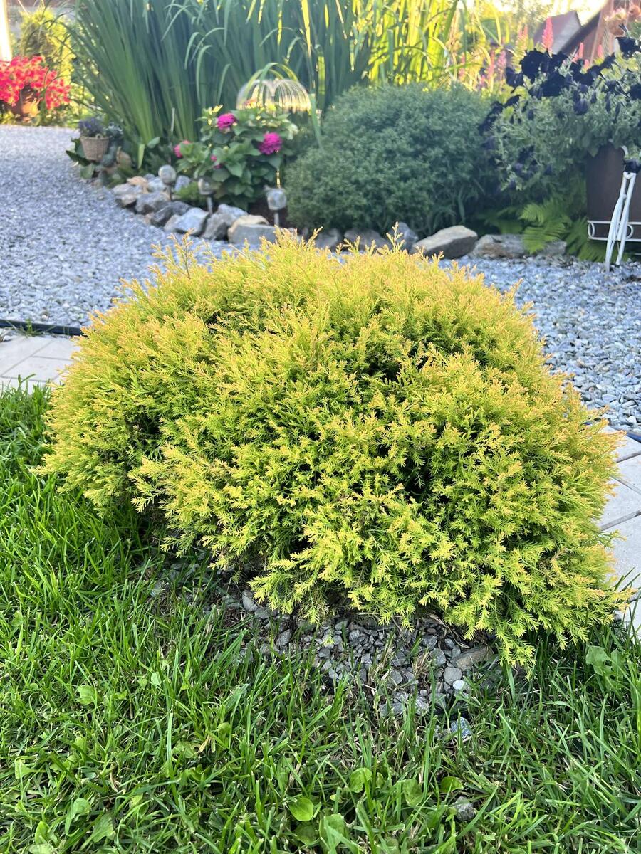 2023 год - личный архив