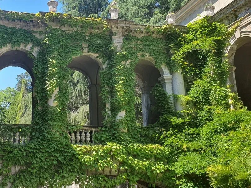 Среди заросших балюстрад молодожёны любят устраивать фотосессии. Фото: Виталий Головко / Яндекс Карты