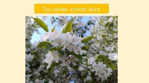 Ты снова лучше всех