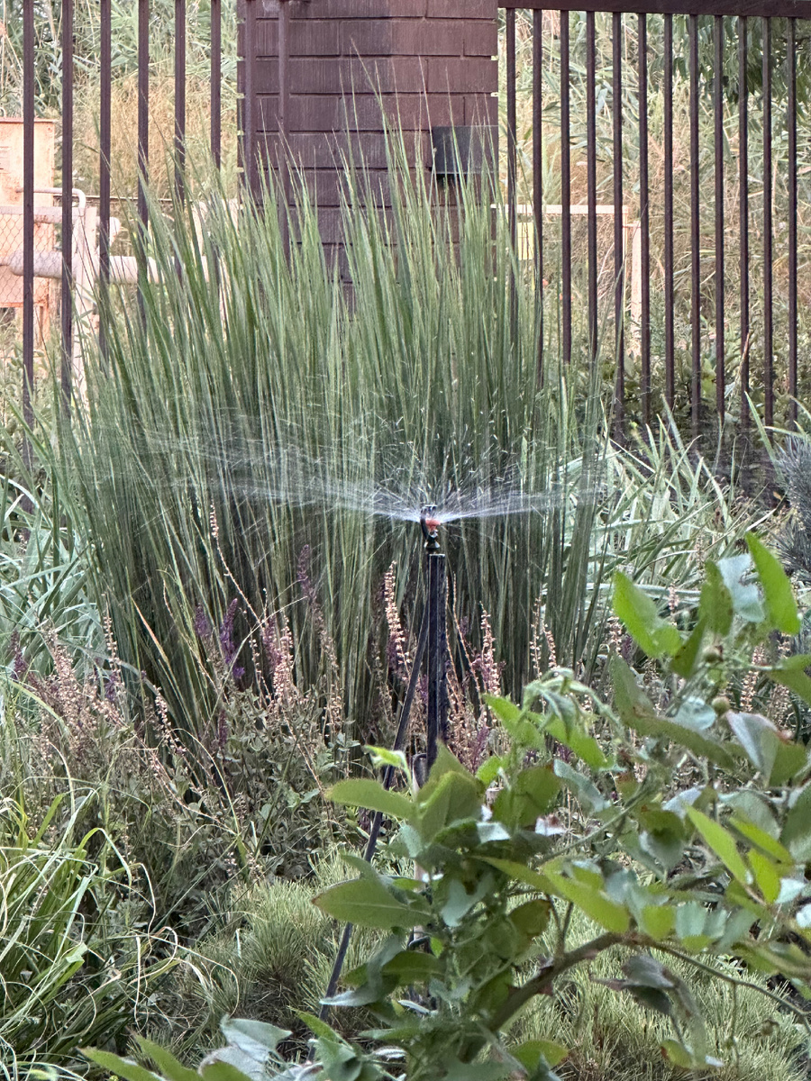 Дождевание в саду