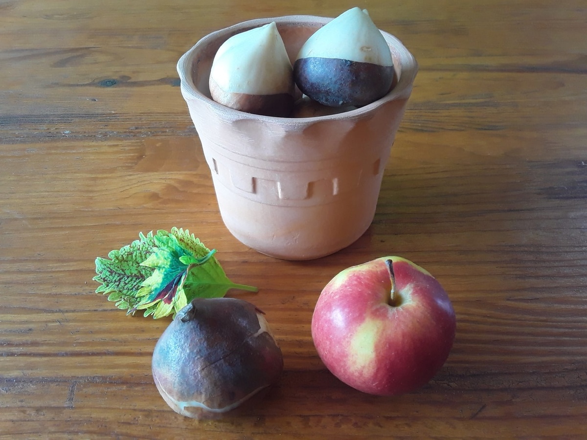 Раньше были тюльпаны так тюльпаны! А нынче...