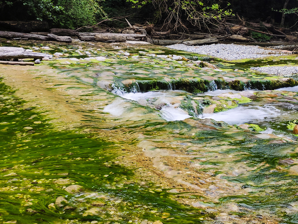 В Жоэкварском ущелье 