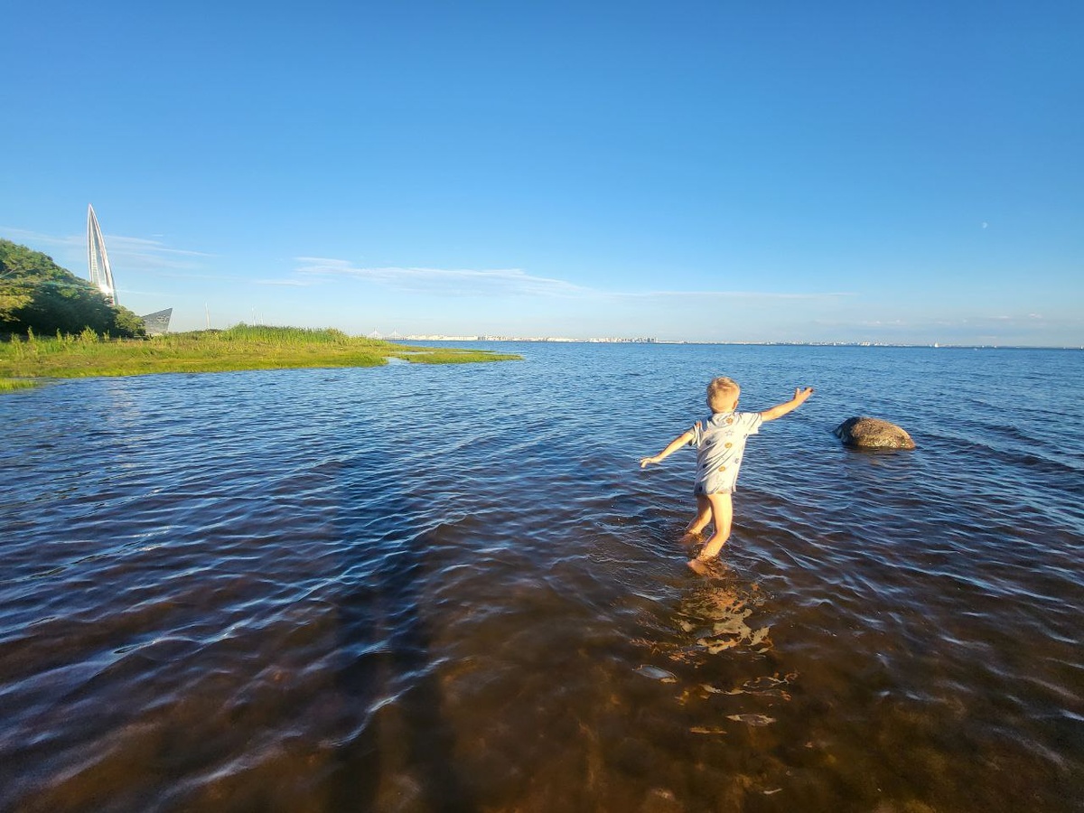 дичка с видом на Лахту