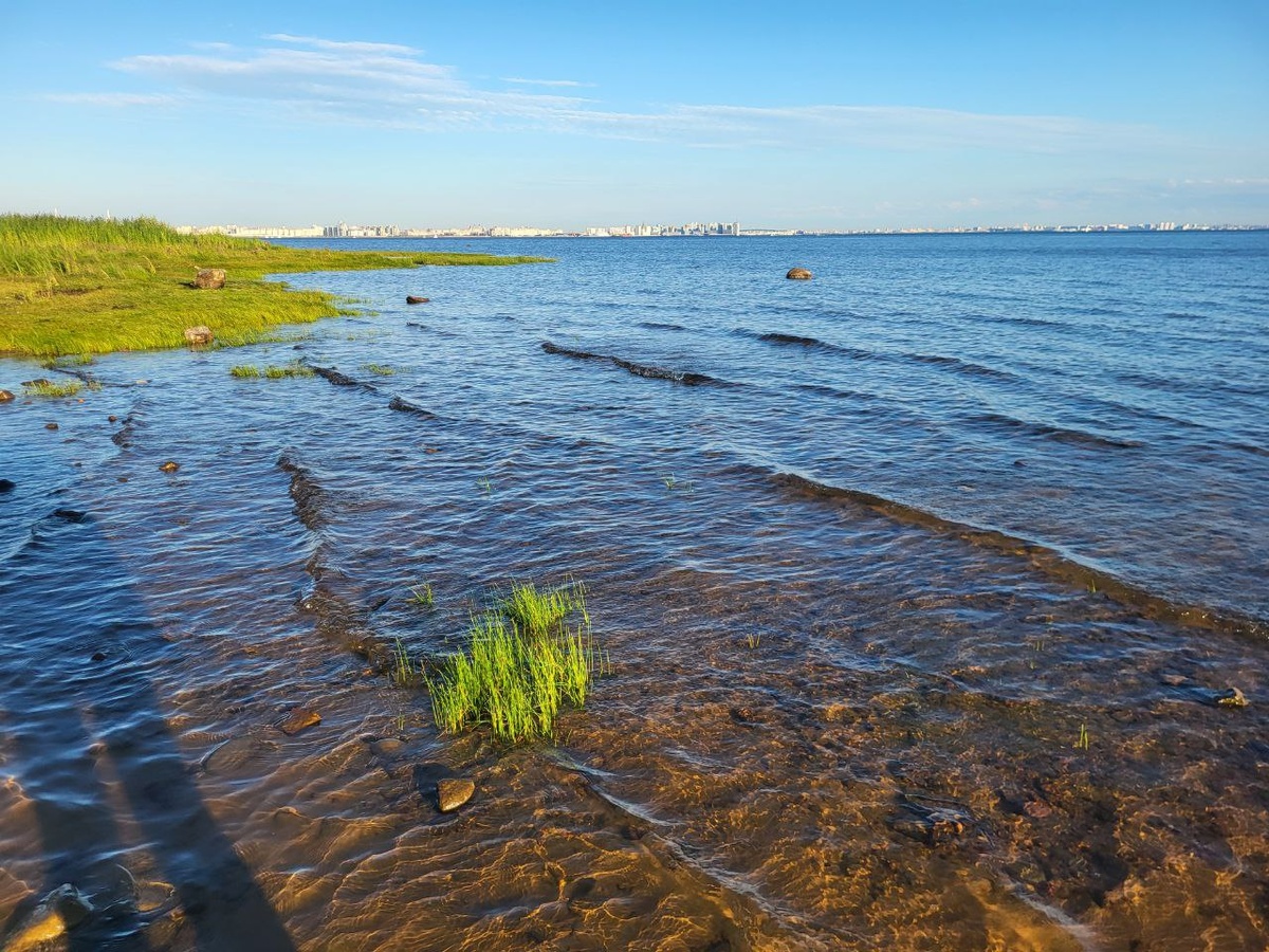 чисто и мелко