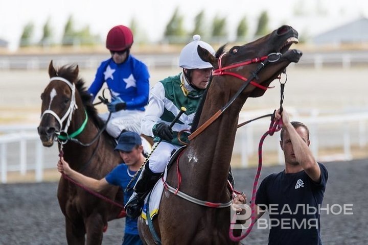 Фото: Максим Платонов 