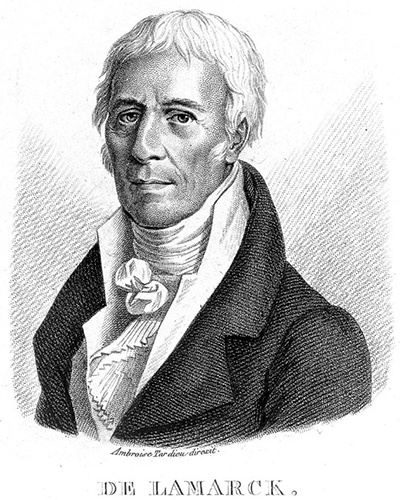 Жан-Батист Ламарк (1744–1829)