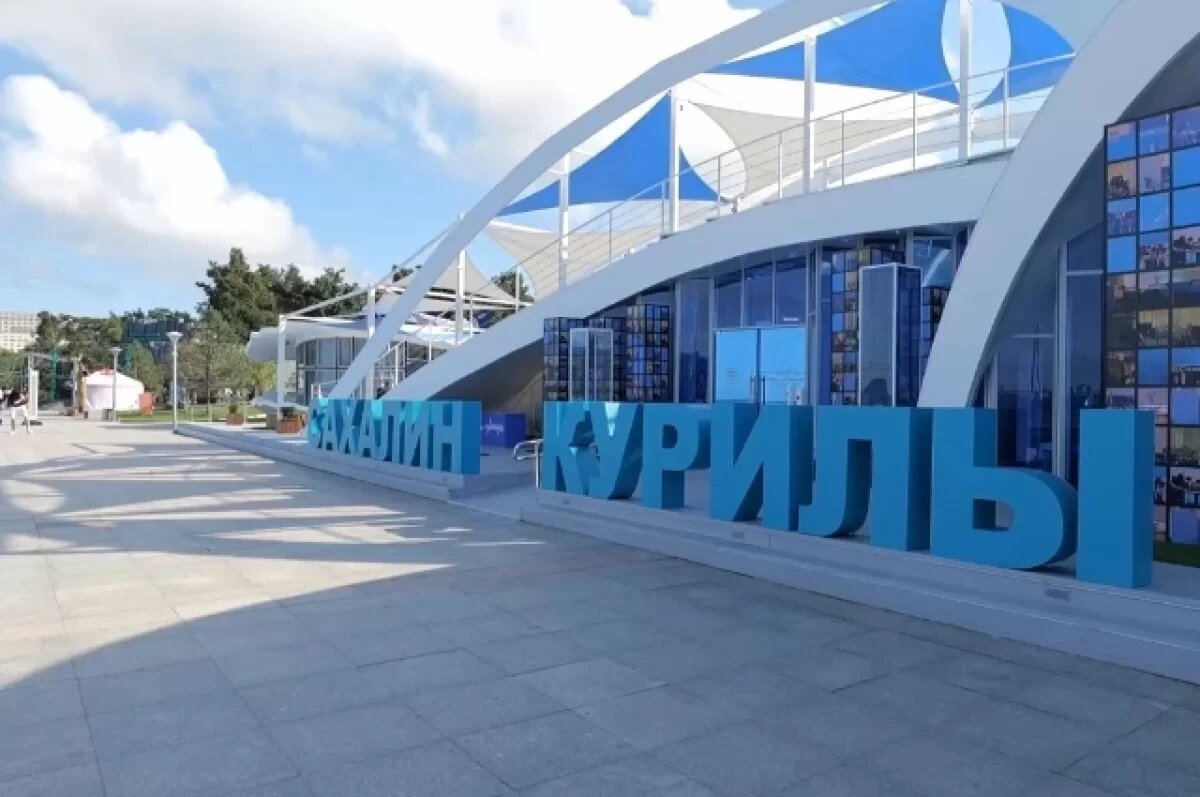    Энергетический и логистический центр: Сахалин засияет на ВЭФ-2024