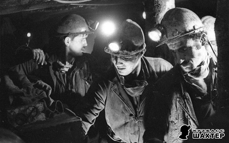 Фото: Александр Наумов. Снимок не имеет прямого отношения к истории, а лишь косвенно иллюстрирует публикацию.