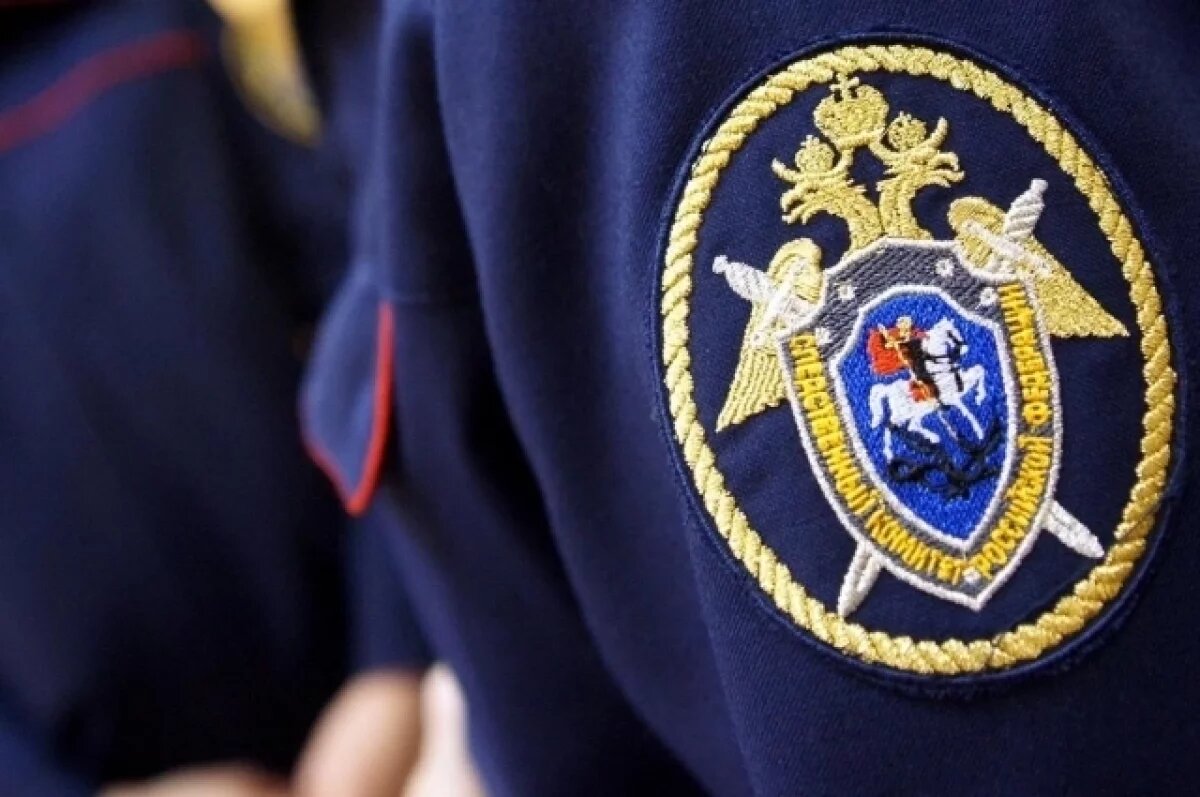    СК по Калужской области возбудил уголовное дело по факту пропажи ребенка