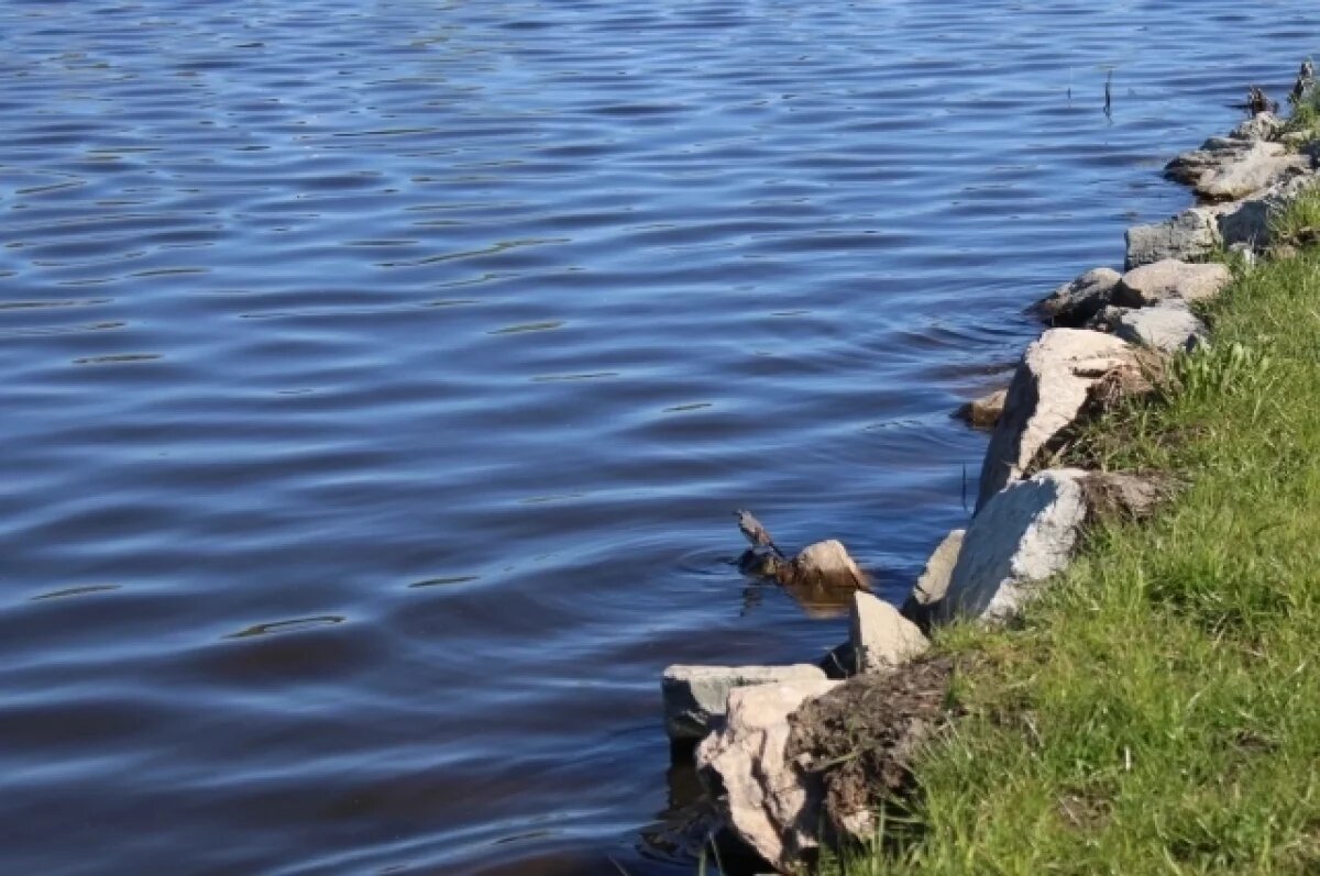    В Оренбуржье низководные мосты закрыты из-за подъёма воды в реках