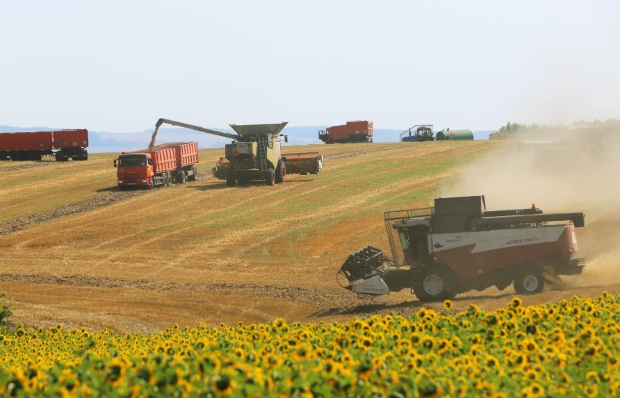 Фото: Global Look