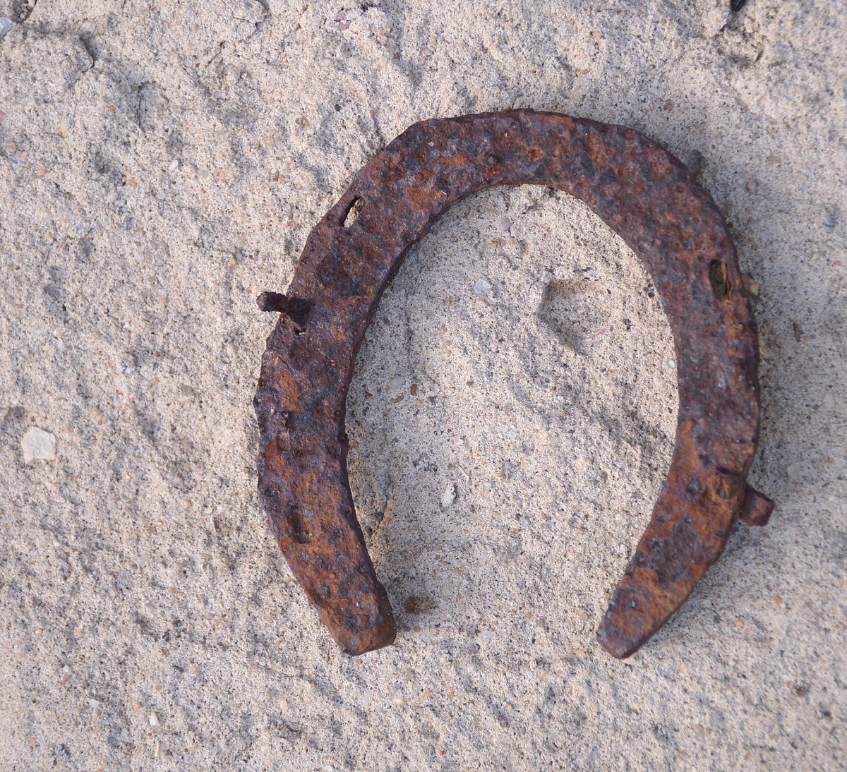 Ценный приз! 