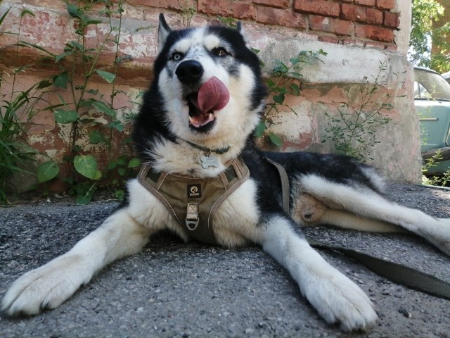 Фото из личного архива автора