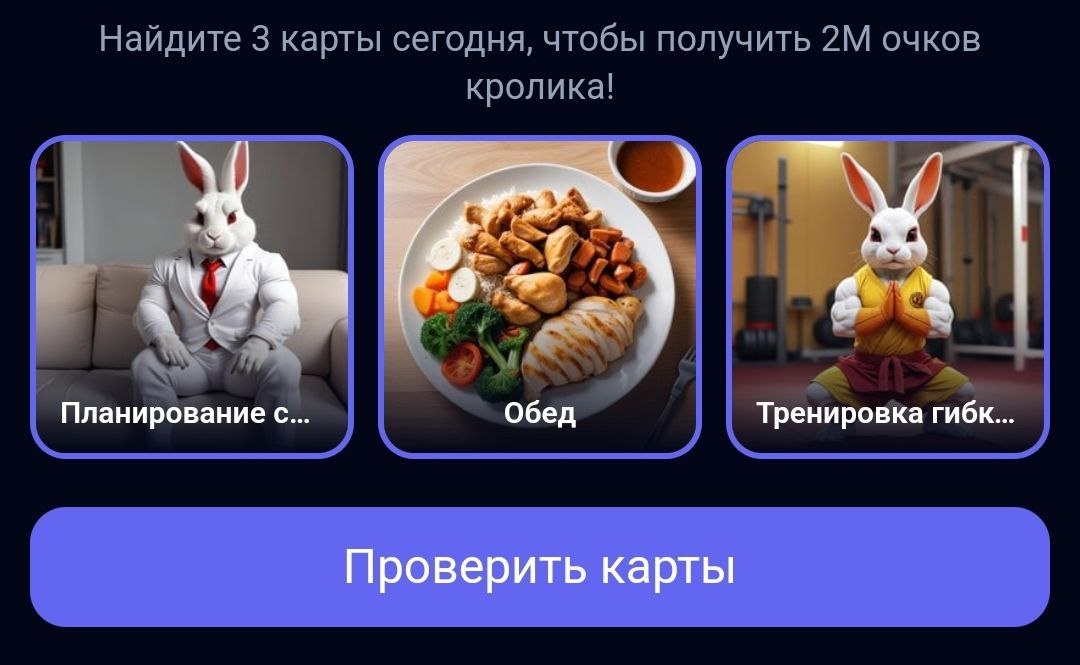 Супер сет rocky rabbit сегодня