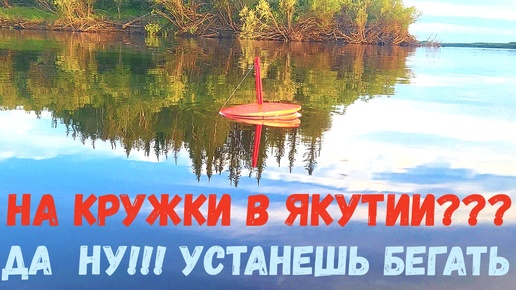 НА КРУЖКИ В ЯКУТИИ ВЫ СЕРЬЕЗНО??? ДА НУ ИХ! УСТАНЕШЬ ПЛАВАТЬ!!!