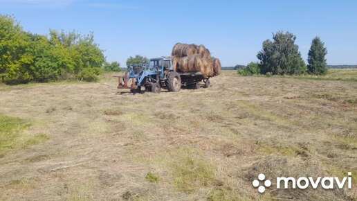 Сено с полей домой...