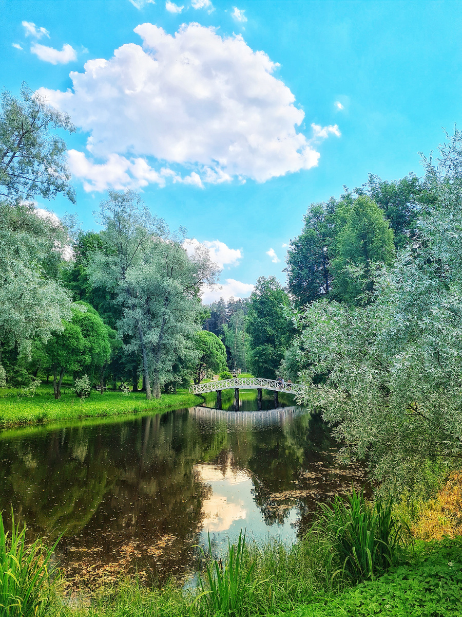 Пруд с мостиком. Михайловское.