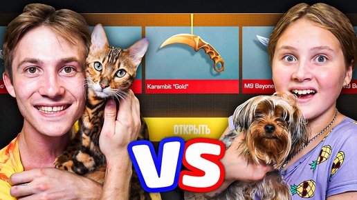 КОТ СНЕЯ VS СОБАКА СЕСТРЫ В STANDOFF 2!