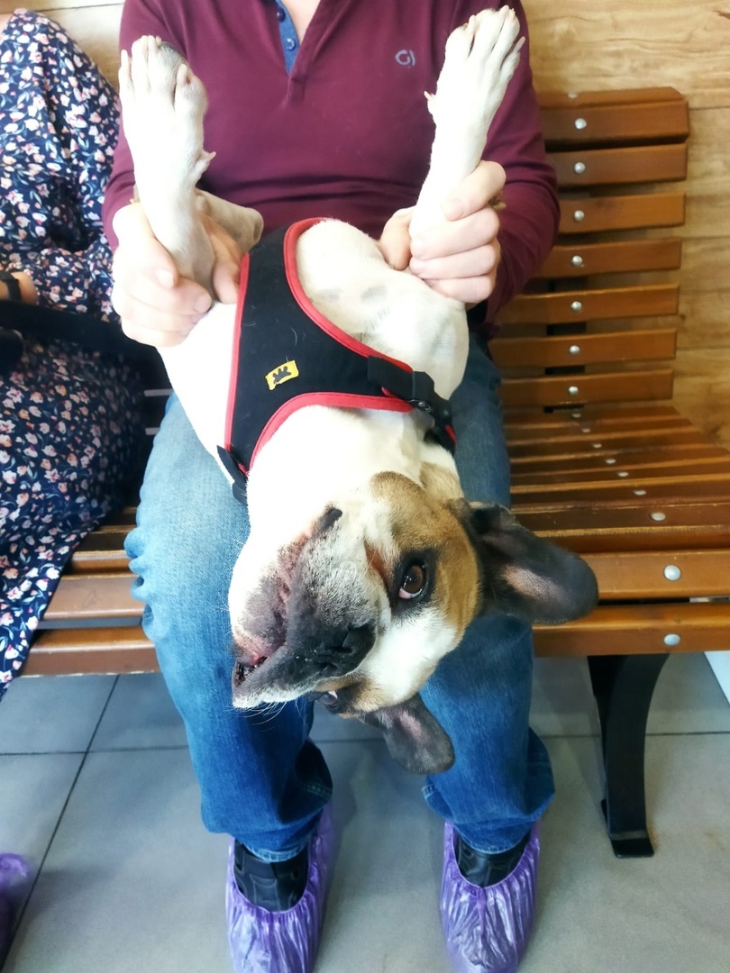 Наши дорогие пациенты! 