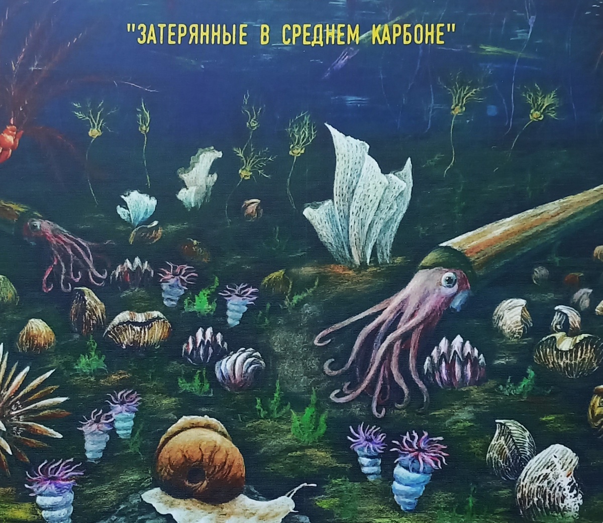 Изображение морского дна в карбоне (фото - собственность автора)