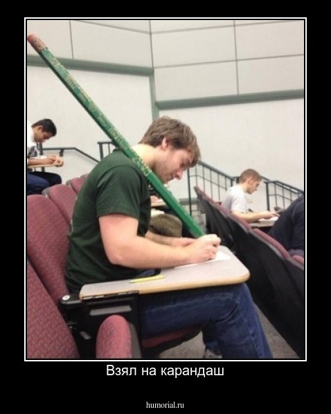 Фото взято из открытого источника.