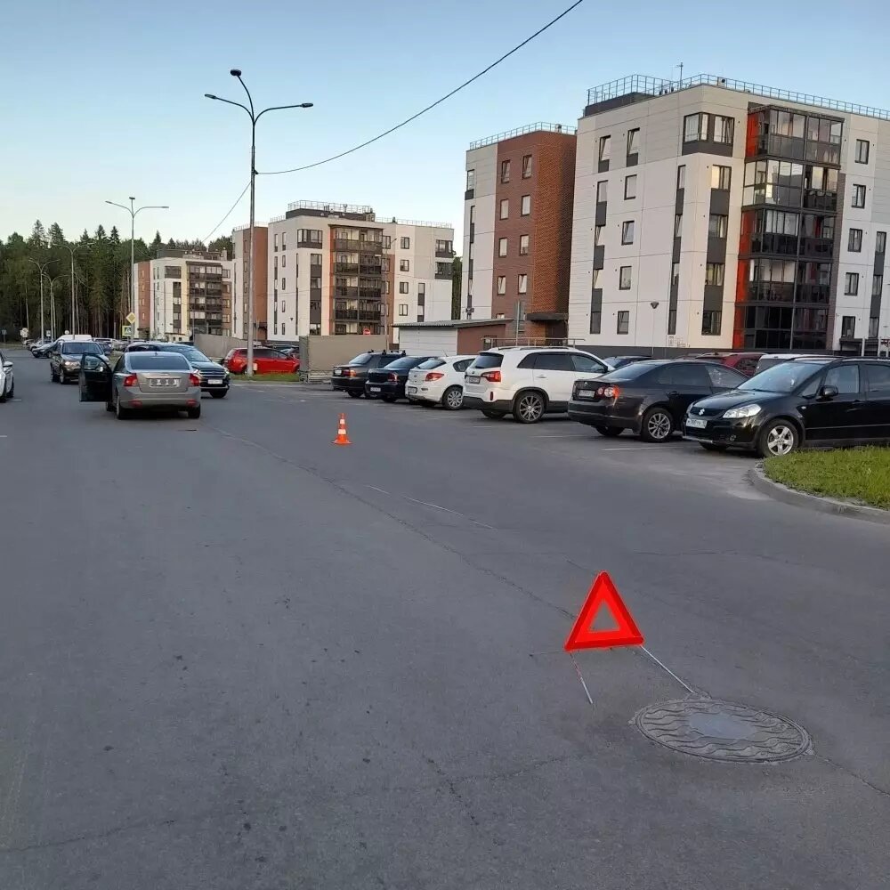     Источник: Госавтоинспекция Петрозаводска / vk