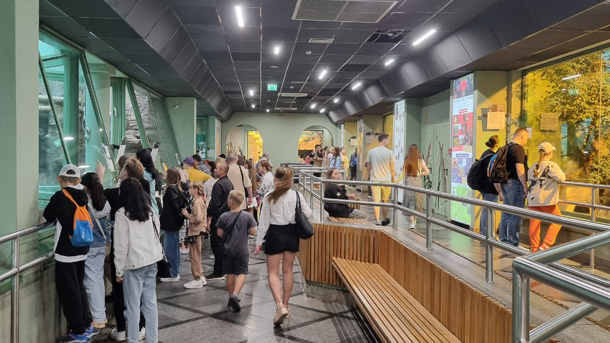 На фото: вольеры с обезьянами под крышей