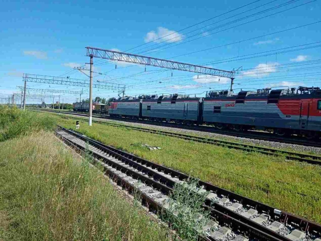    Фото: Амур.инфо