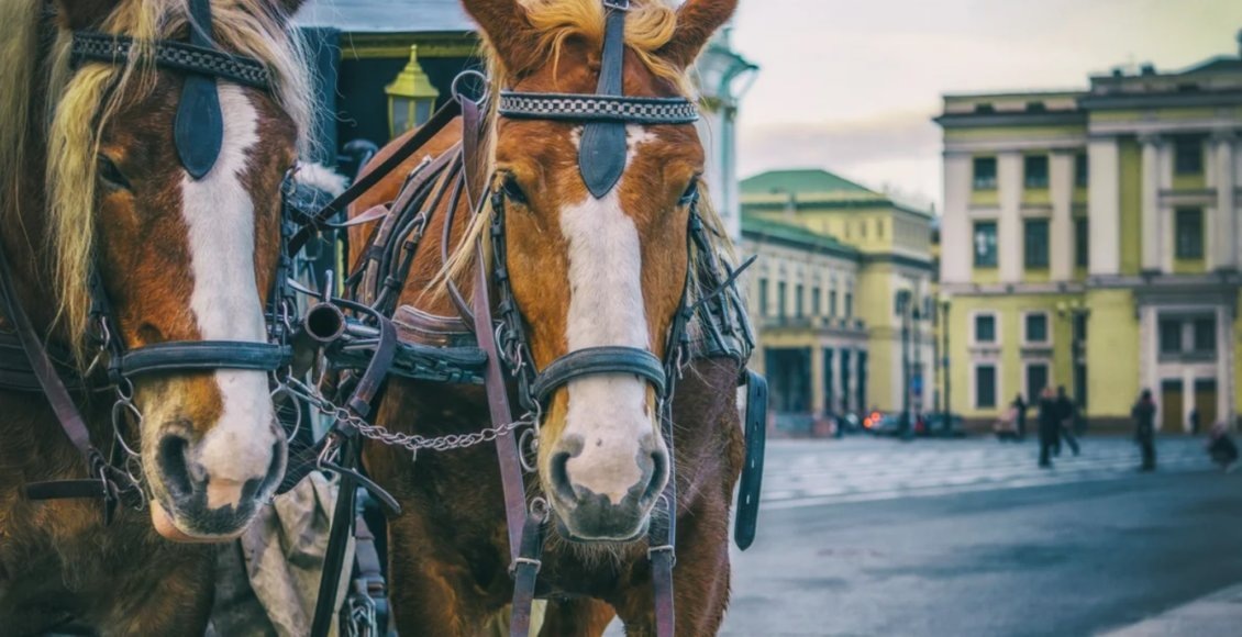    Фото: из открытых источников