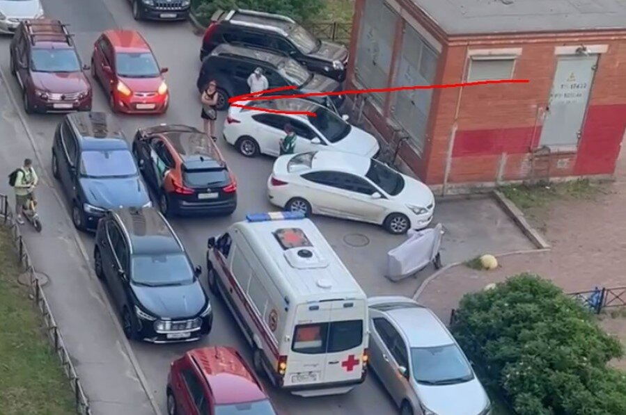 Скрин видео