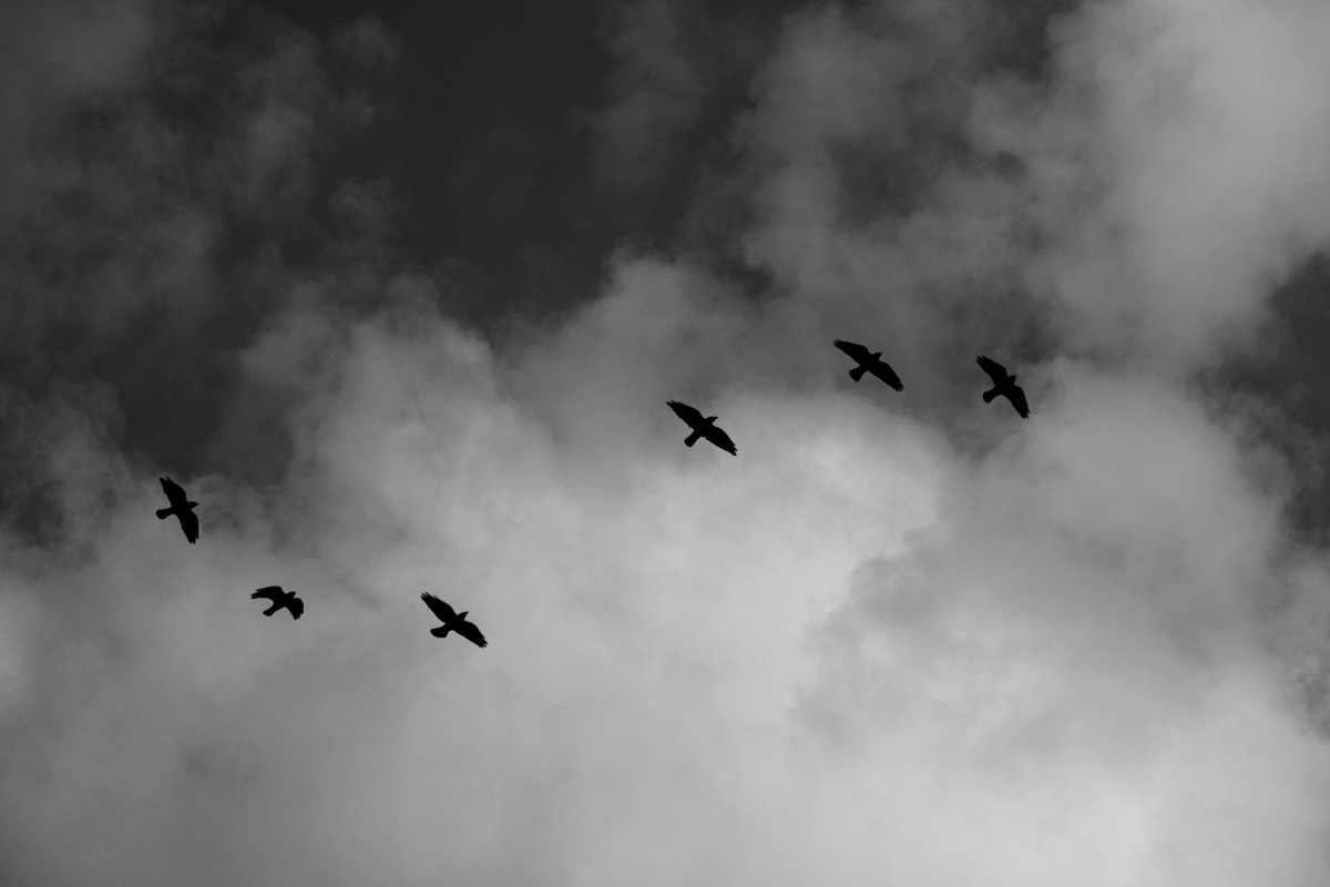 Дети разлетелись из гнезда