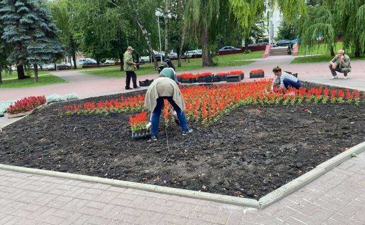    фото Курские известия