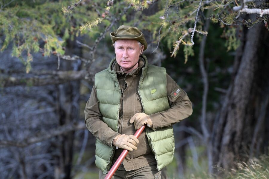    Владимир Путин / Источник: © Алексей Дружинин/РИА Новости
