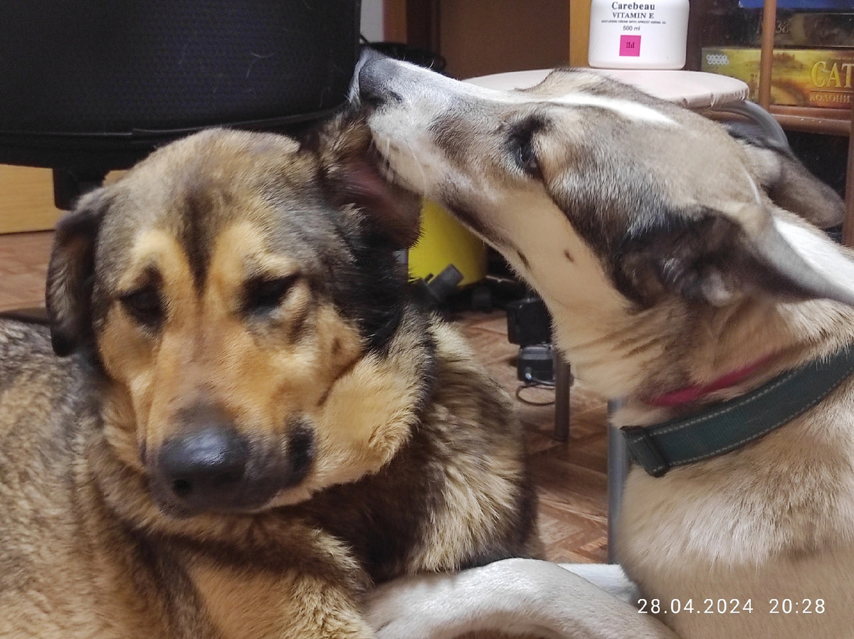 Это любовь)))