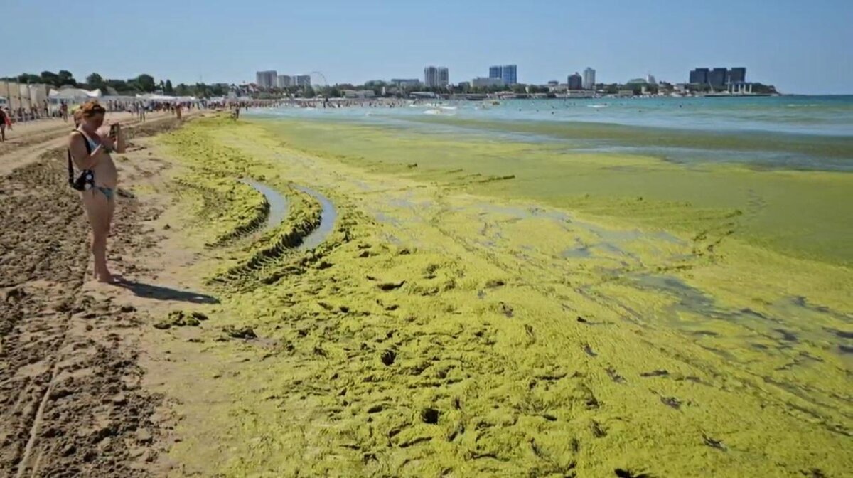 Фото: t.me/makovozovy 